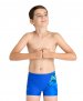 Boy's Arena Shading Swim Short