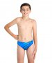 Boy's Arena Shading Swim Briefs